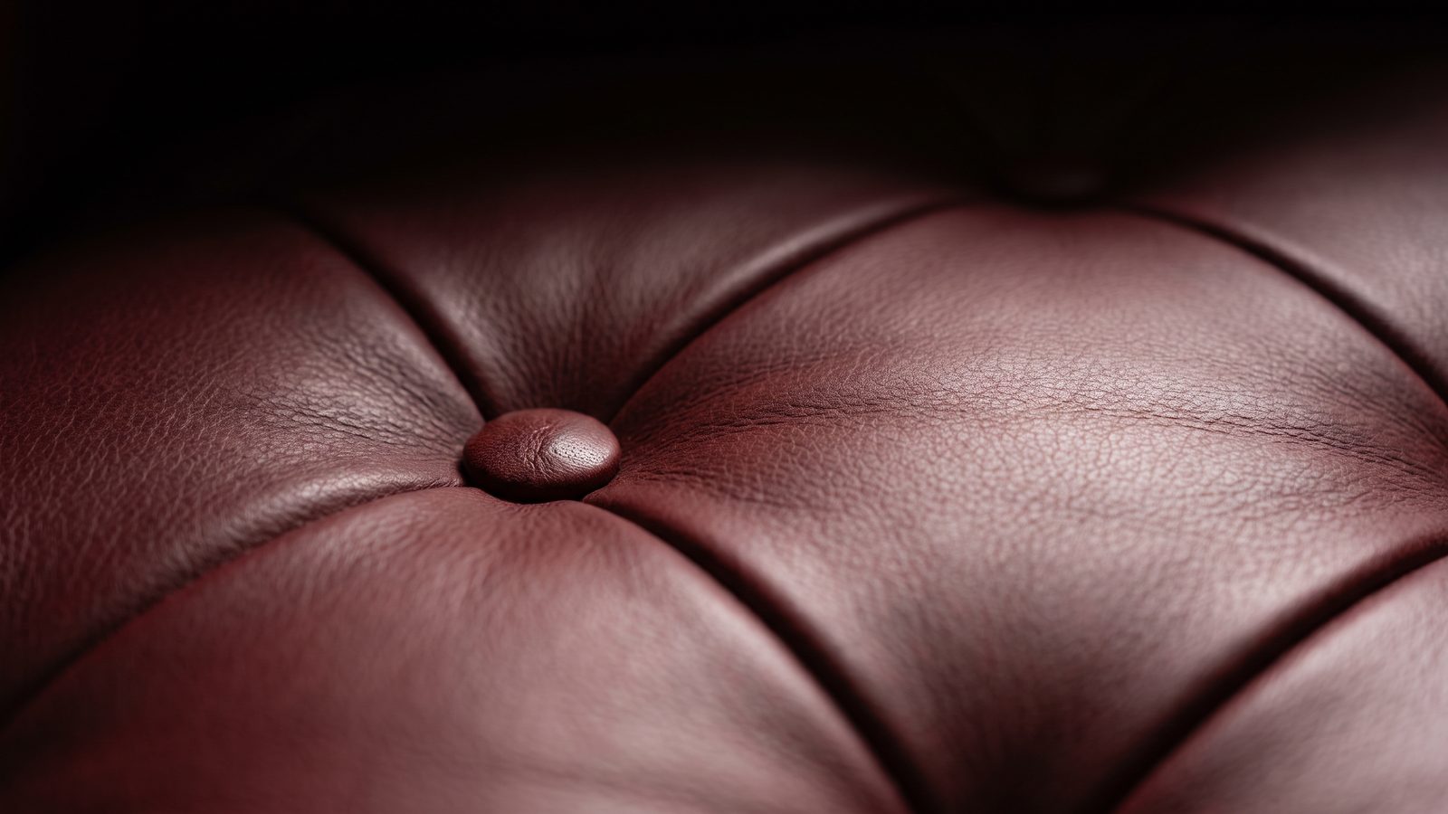 Extreme close-up of deep-buttoned oxblood leather, the folds radiating from a single hand-pulled button